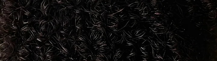 Tight dark coils, close up